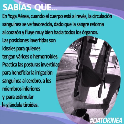 Yoga a&eacute;rea: posiciones invertidas